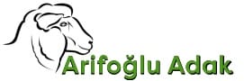 Logo Light